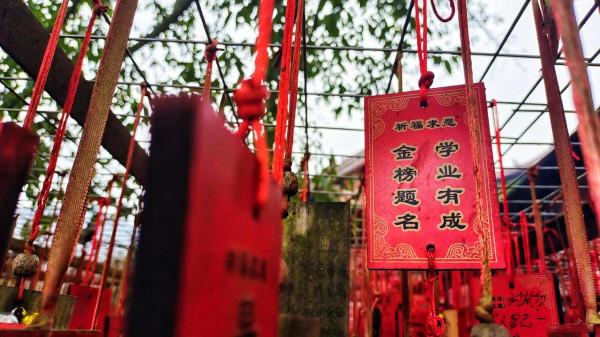 自駕一路遊山玩水貌似很瀟灑，可如果愛車的輪胎出了問題又該咋辦