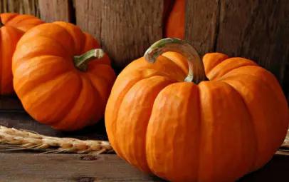 種植南瓜不結瓜怎麼辦?老瓜農教你幾招,南瓜一茬一茬結滿藤 種植南瓜不結瓜怎麼辦?老瓜農教你幾招,南瓜一茬一茬結滿藤