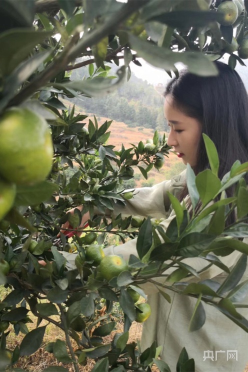 長征路上新青年丨創業英雄“瑤姑娘”:廣闊農村大有可為 做新時代“三農”青年 長征路上新青年丨創業英雄“瑤姑娘”:廣闊農村大有可為 做新時代“三農”青年