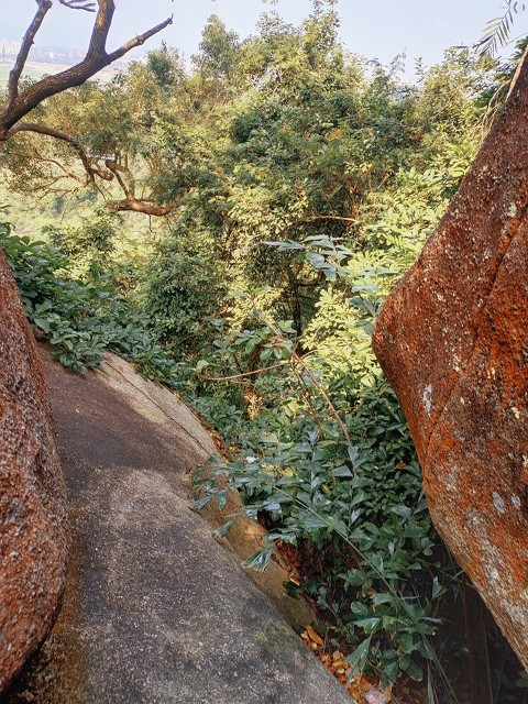 旅人筆下——海南第一山 旅人筆下——海南第一山