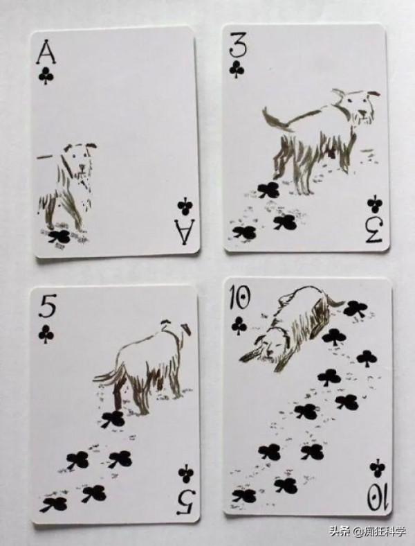 16個國外腦洞大開的創意小發明,看看你最喜歡哪個? 16個國外腦洞大開的創意小發明,看看你最喜歡哪個?