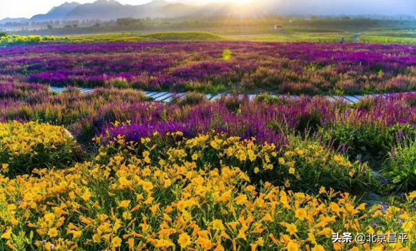 2021好幸運，和你在昌平走過春夏秋冬