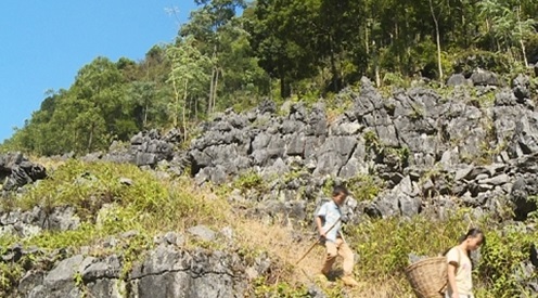 寒門姐弟父親車禍母親改嫁,家裡沒米沒鹽,一天只吃一頓飯 寒門姐弟父親車禍母親改嫁,家裡沒米沒鹽,一天只吃一頓飯