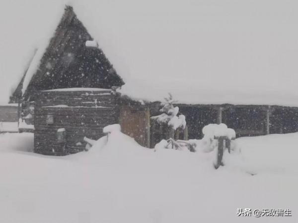 心心念唸的禾木雪鄉