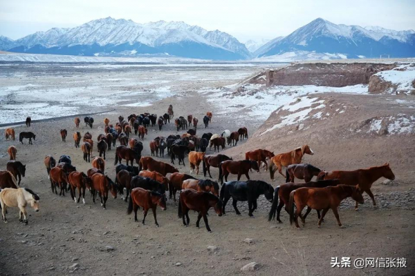 山丹馬場冬日景色美