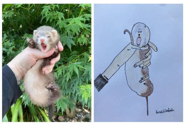 天了嚕！貓貓狗狗畫成這樣，還能約稿無數？