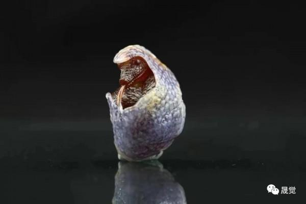 中國第五屆“神工獎”