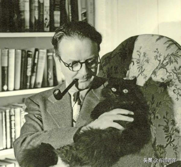 乾隆也太會給貓起名了！現代人只會：咪咪