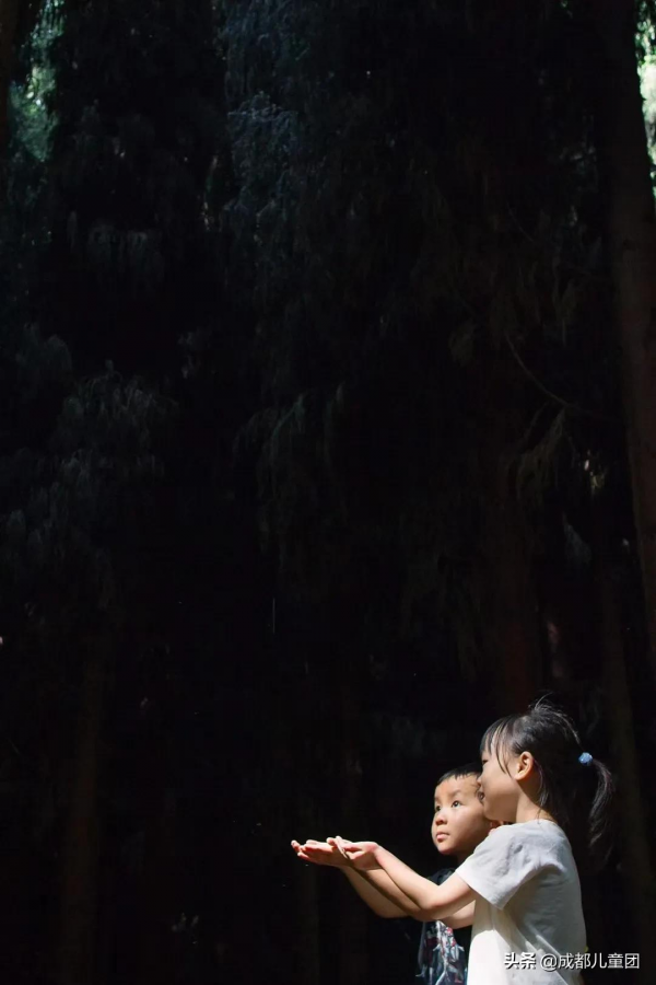 為孩子構建另一種審美可能性，她帶著娃去山裡“走野路”