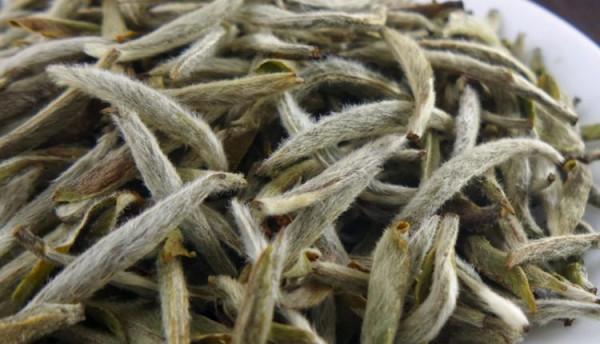 白茶餅怎麼喝?第一步是撬茶 白茶餅怎麼喝?第一步是撬茶