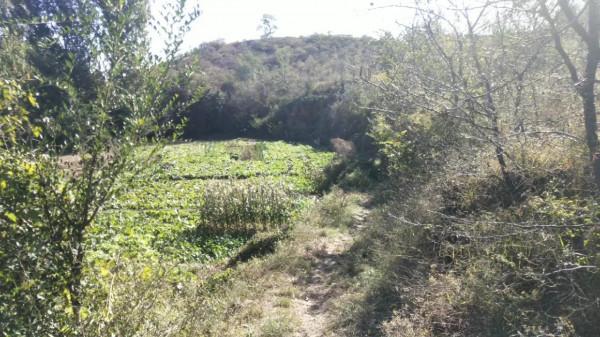 魯家峪的故事(2021－836)