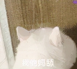 DNF:105裝備真的很強嗎?我們一起看看 DNF:105裝備真的很強嗎?我們一起看看