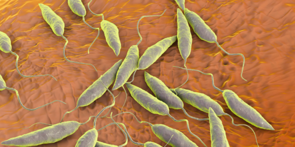 醫業觀察 | 展望 2022:後疫情時代,生物醫學領域的研究趨勢會有哪些? 醫業觀察 | 展望 2022:後疫情時代,生物醫學領域的研究趨勢會有哪些?