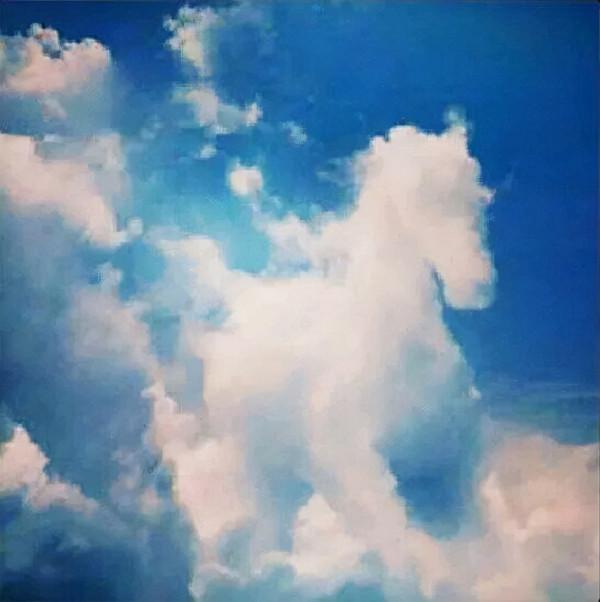 陛下！天降祥瑞了，大吉之兆！歷史上的那些個祥瑞