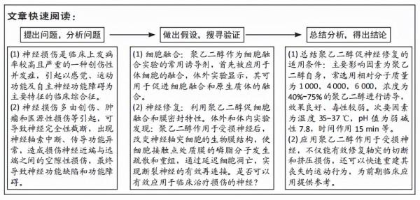 聚乙二醇在神經功能重建領域應用及存在的問題 聚乙二醇在神經功能重建領域應用及存在的問題