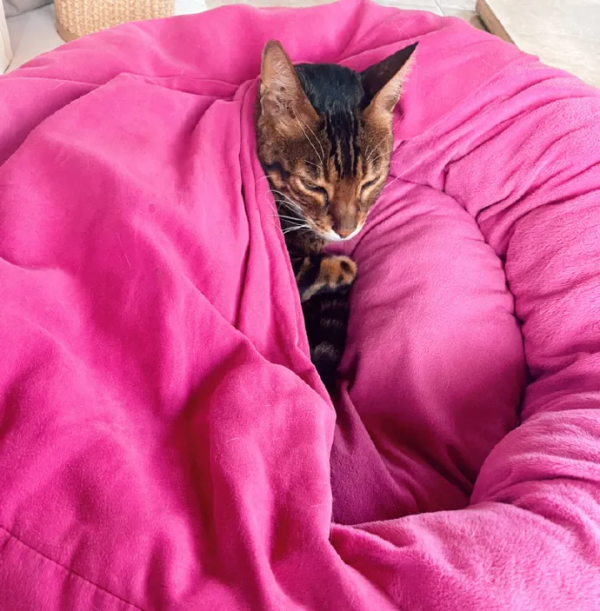 睡不醒的，冬三月