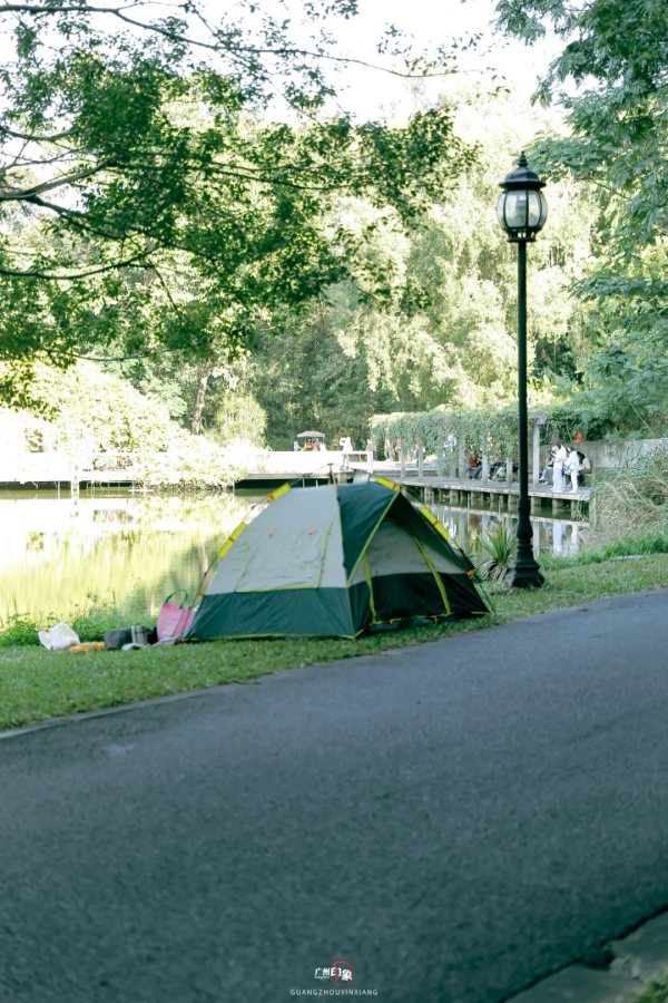 抓住秋天的影子，至少要去一次「華南植物園」