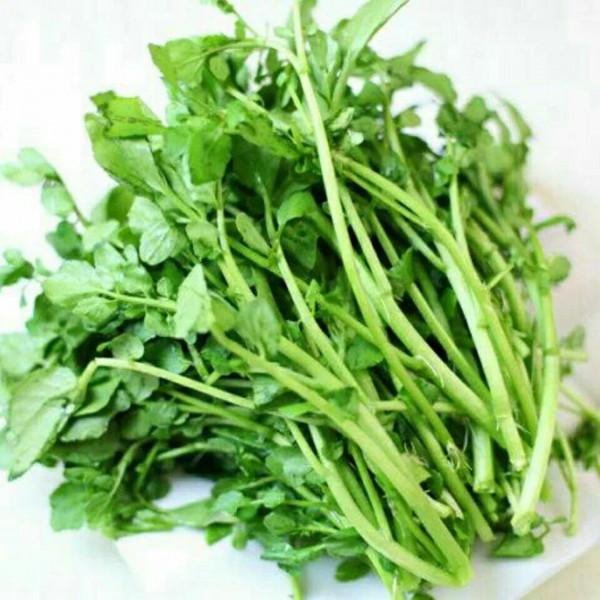 入冬後記得給孩子吃7種綠葉菜,維生素K含量高,價格也不貴 入冬後記得給孩子吃7種綠葉菜,維生素K含量高,價格也不貴