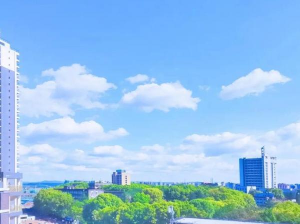 牛氣!歷時5個多月,700所高校角逐,來自四川的他們捧回一等獎 牛氣!歷時5個多月,700所高校角逐,來自四川的他們捧回一等獎