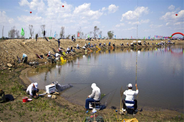只要這麼做,偷驢也能快速聚魚、快速發窩 只要這麼做,偷驢也能快速聚魚、快速發窩