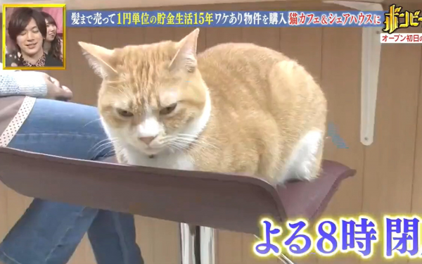 女孩10多年節省到極致，買下了3套房，真實勵志人生