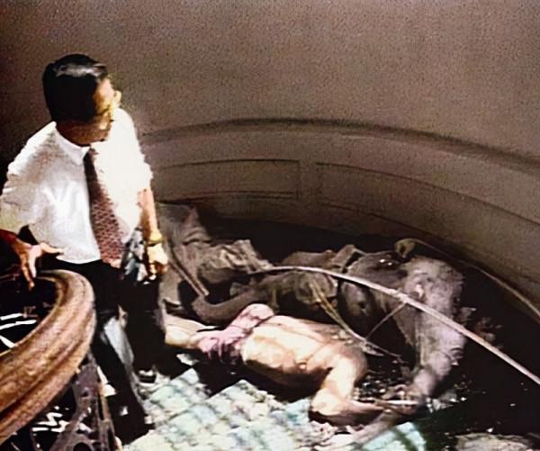 540名人質在日使館被“抗日分子”綁架，驚魂126天，載入特戰教材