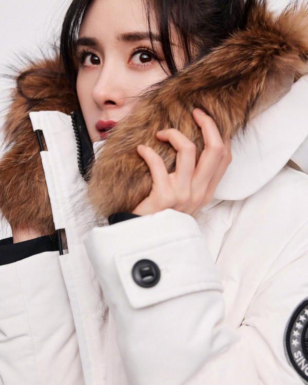 429號“女神”楊冪 429號“女神”楊冪