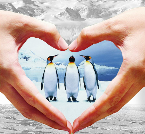 地球異變？西伯利亞出現10000多個土球，科學家：這是一種警示