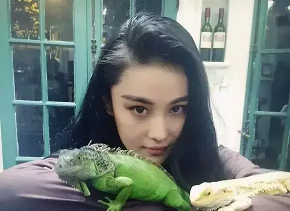 動物世界：從狗生贏家王可可開始，扒一扒各路明星斥巨資養的寵物