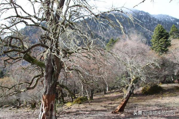 這條徒步線路太美了，這線路適合想去而沒有去過高原的人