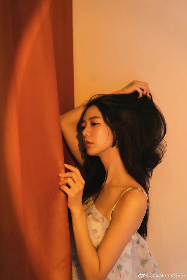 粉色玫瑰：克拉拉