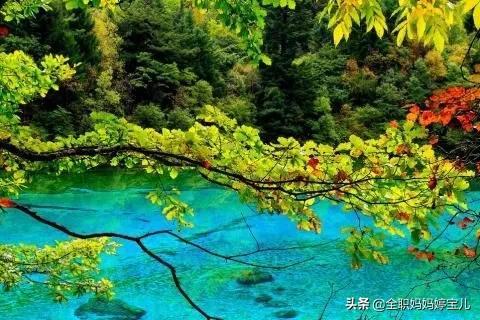 分享——令人迷幻的九寨溝