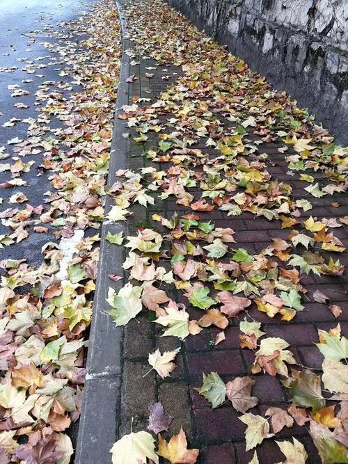 卜算子· 拒絕苦兒孫