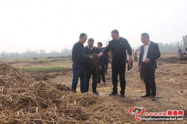 河南省食用菌種質資源普查第四專家組前往金隆菇業指導工作