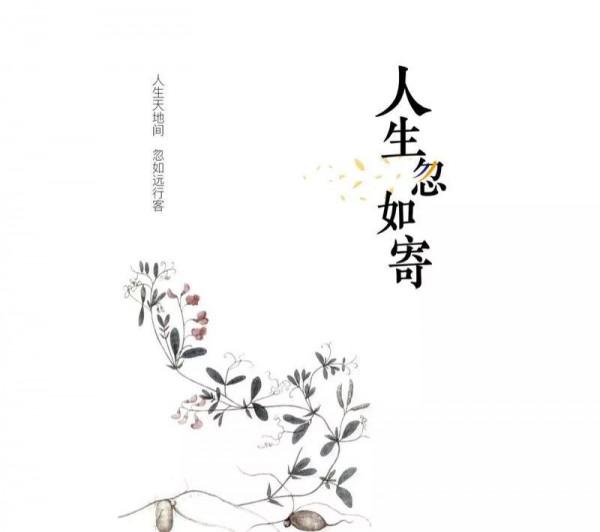 人生如寄,多憂何為 人生如寄,多憂何為