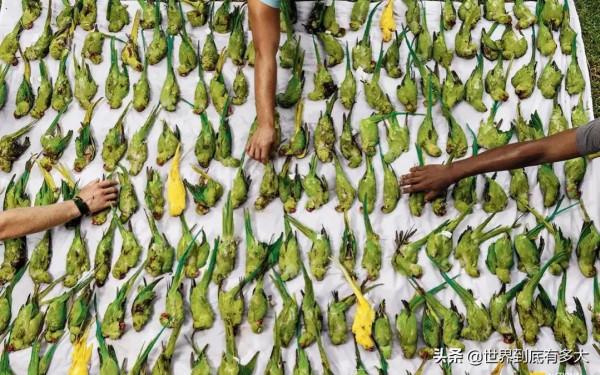 “塞席爾”現狀，比我國還富的非洲國家，帶你看看真實的塞席爾