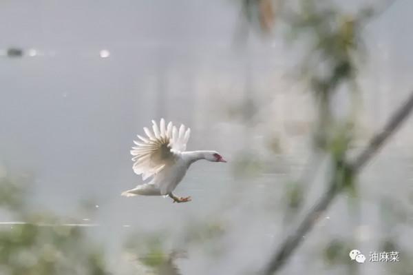 那些看似無聊的等待