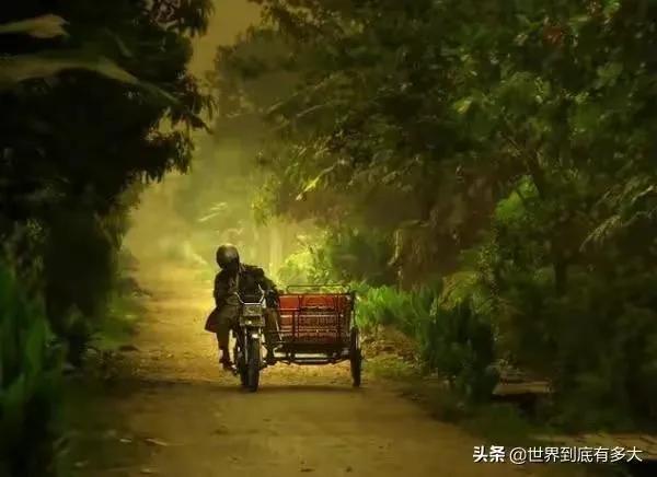 東南亞最大的國家“印尼”冷知識，帶你看看真實的印尼