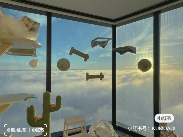 “貓咪住進60層頂樓”被刷爆,網友:救命!美瘋了 “貓咪住進60層頂樓”被刷爆,網友:救命!美瘋了