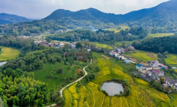 歡度中秋｜品茶、登高、撩秋，莫負西九華山好秋色