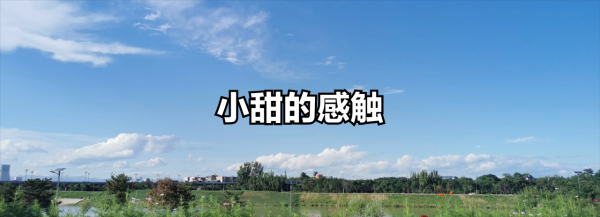 情感生活：我的孩子，被我自己霸凌了