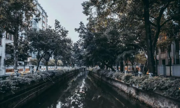 危房也能賣1.2個億? 危房也能賣1.2個億?