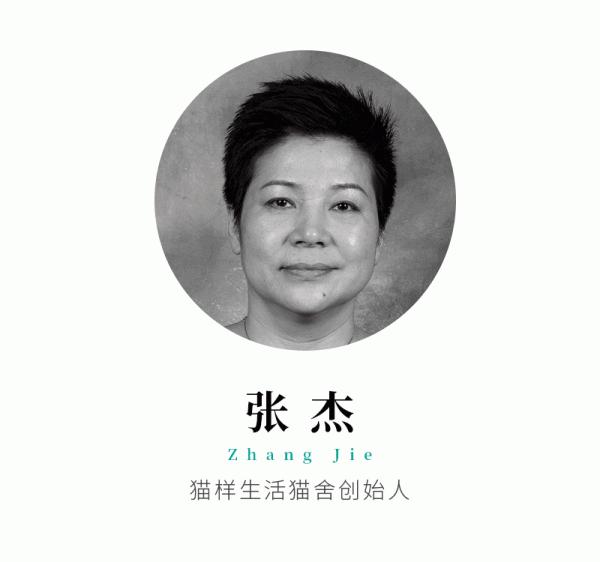 美國短毛貓丨銀虎斑