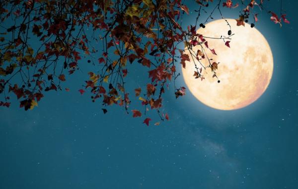 中秋時節‖人間一輪月 中秋時節‖人間一輪月