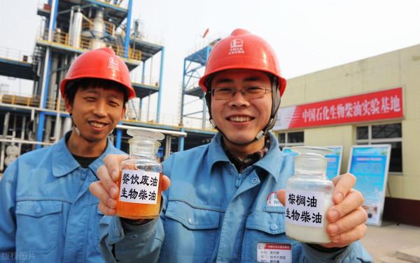 碳中和涉及到哪些領域，投資怎麼佈局？