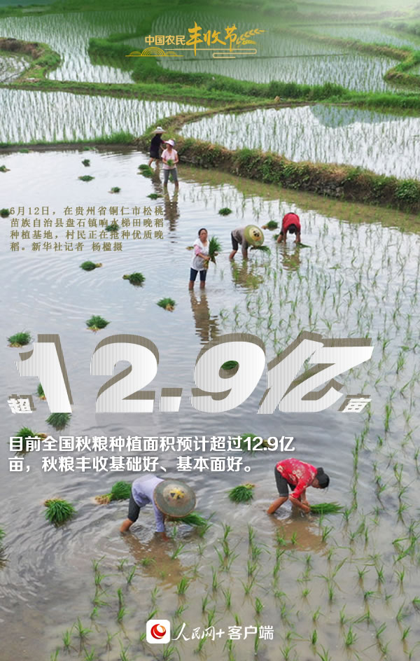 “豐”景如畫慶佳節