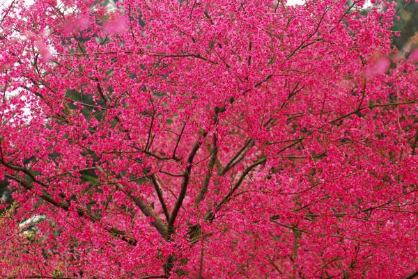 石門山森林公園