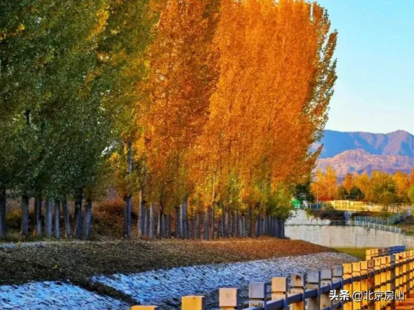 秋意濃,房山紅 !千年遺蹟、稻田荷花…第4波秋景等你去賞閱! 秋意濃,房山紅 !千年遺蹟、稻田荷花…第4波秋景等你去賞閱!