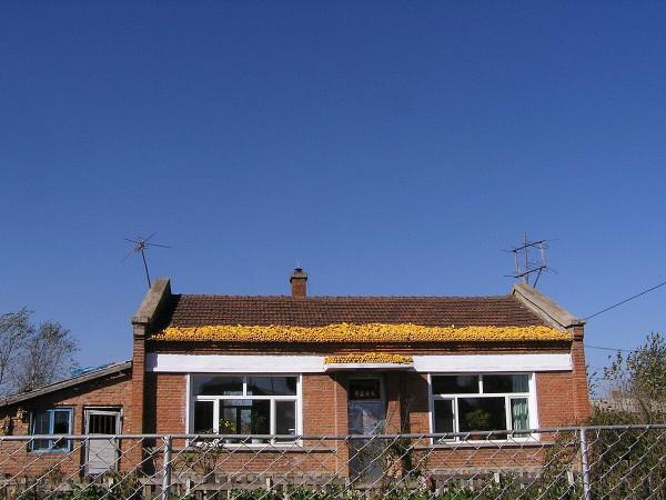 1975年，河南一父子挖出國寶青銅鏡，竟成了仇人