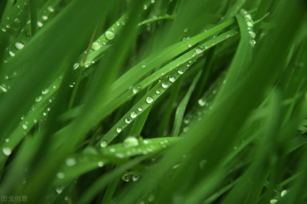 八種便宜又好用的農藥,記得點贊加關注哦 八種便宜又好用的農藥,記得點贊加關注哦